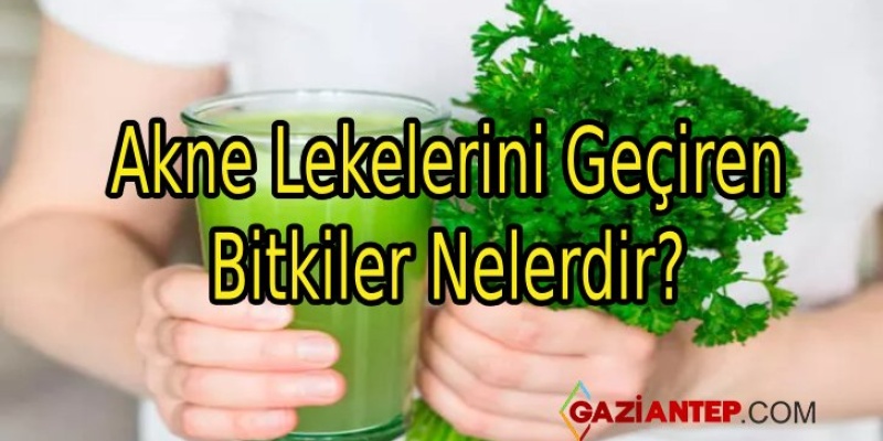 Akne Lekelerini Geçiren Bitkiler Nelerdir?