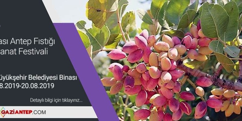 12. Uluslararası Antepfıstığı Kültür Ve Sanat Festivali 