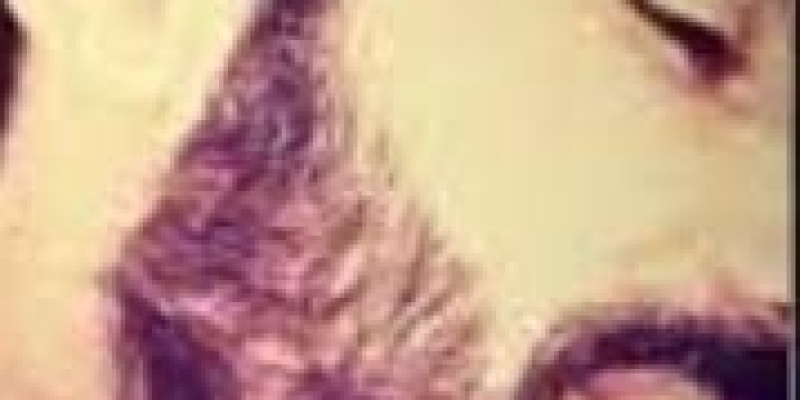 HiraiZerdüş konserleri