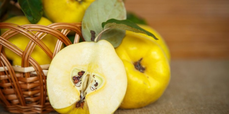 Ayva Yaprağı’nın Faydaları Ve Zararları