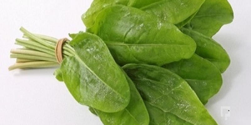 Kuzu Kulağının Faydaları