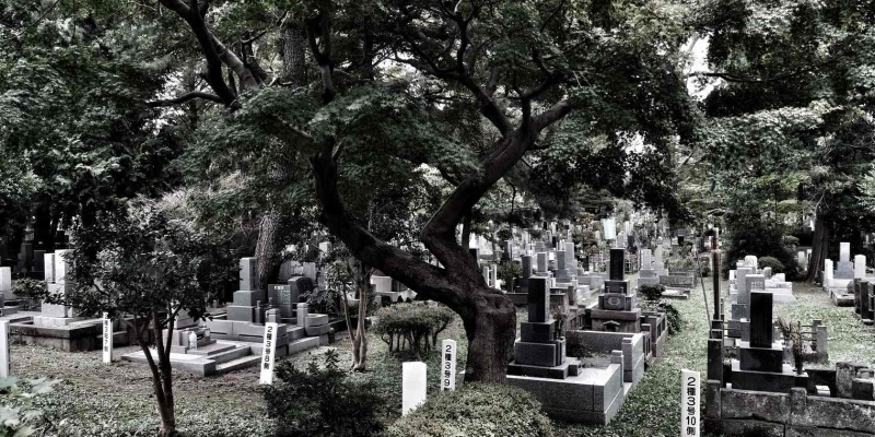 Dünyanın En Tüyler Ürpertici 5 Yeri