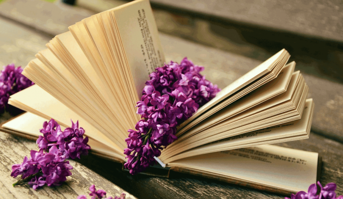 Haftanın Kitap Önerisi – “Fareler ve İnsanlar”