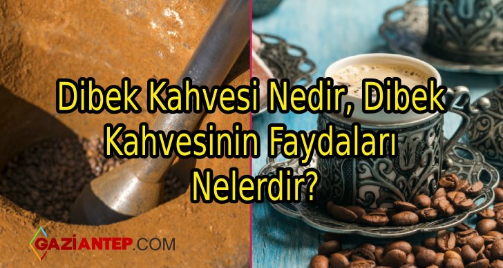 Dibek Kahvesi Nedir, Dibek Kahvesinin Faydaları Nelerdir?